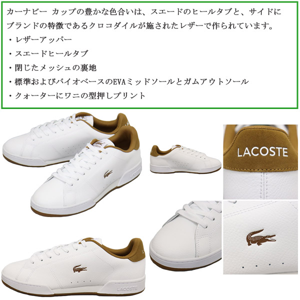 LACOSTE(ラコステ)正規取扱店