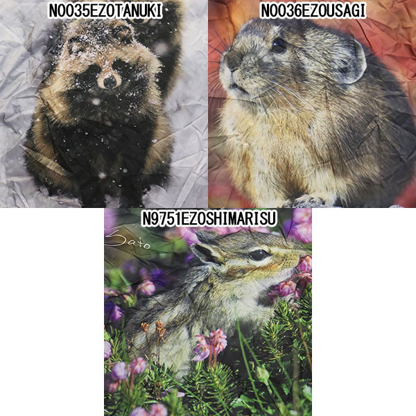 MILLET(ミレー)正規取扱店THREEWOOD